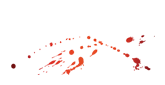 Blade Soul game bundle